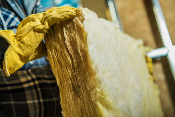 Best Insulation for Specific Applications in English, IN